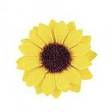 Auringonkukat halk. 3,5cm, 12 kpl -  - 5443000 - 1