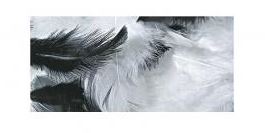 Pikkuhöyhenet musta-valkoiset 10g - Piippurassit, höyhenet, softis - 8511701 - 1