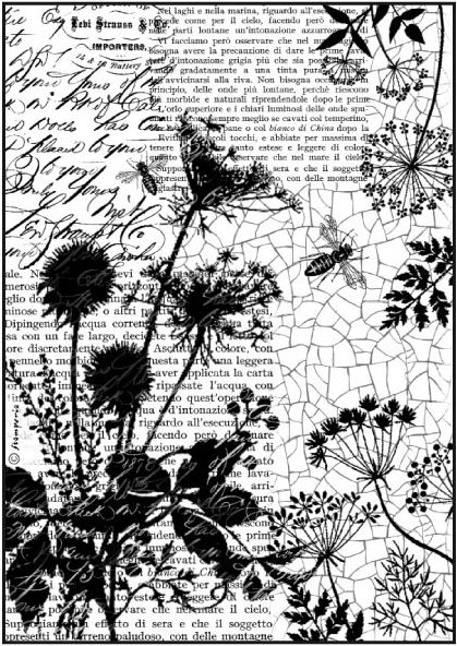 Riisipaperi A4 Tekstit ja ampiaiset - Riisi- ja decoupage-paperit - DFSA4185 - 1