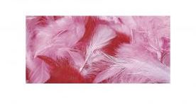Pikkuhöyhenet pinkit ja punaiset 10g - Piippurassit, höyhenet, softis - 8511718 - 1